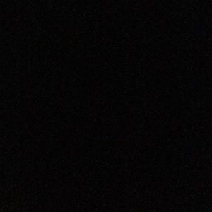 Meet your Posher, Bailey